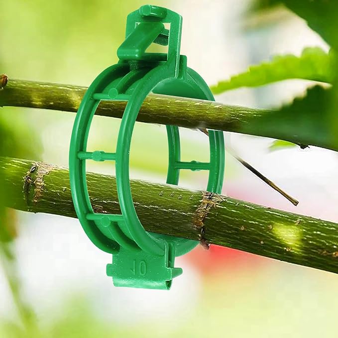 HFXXAD 400PCS Plant Support Clips, Tomato Clips, Plastic Garden Clips, Vine Clips for Tomato Cucumber Flower Squash Vine, 1.2” Inner Diameter, Prevent Tomatoes from Pinching or Falling Off（Green）