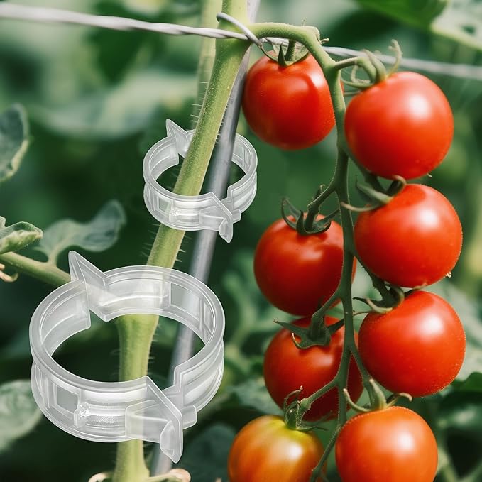 100pcs Secured Plant Clips, Plastic Trellis Garden Support Clips for Climbing, Outdoor Clips for Support Grape Tomato Vine Vegetables Plants, Reusable Clips to Grow Upright Makes Plants Healthier