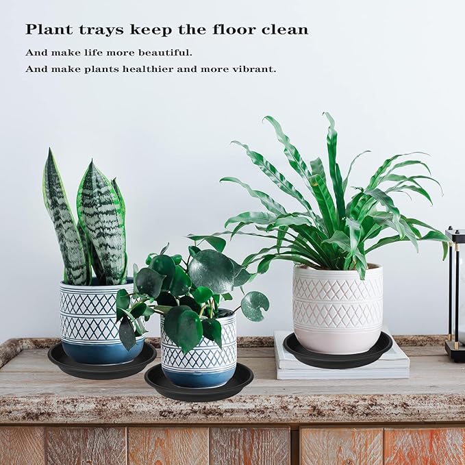 2 Pack of 22 inch Extra Large Plant Saucer, Extra-Deep 3.4" Plant Tray, Bird Bath Bowls for Garden, Plastic Pot Trays for Indoors Outdoors, Water Catcher for Gallon Grow Bags 19-22" (22", Black)