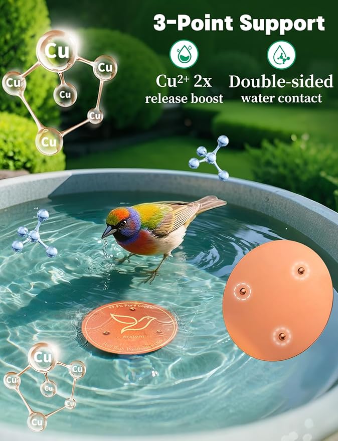 2-Pack Bird Bath Copper Disk, 0.6mm Thick 99.9% Pure Copper Cleaning Disk with Triple-Point Support, Safe Nature’s Purifier Clean Water All Season, Universal for Outdoor Birdbaths Bowls