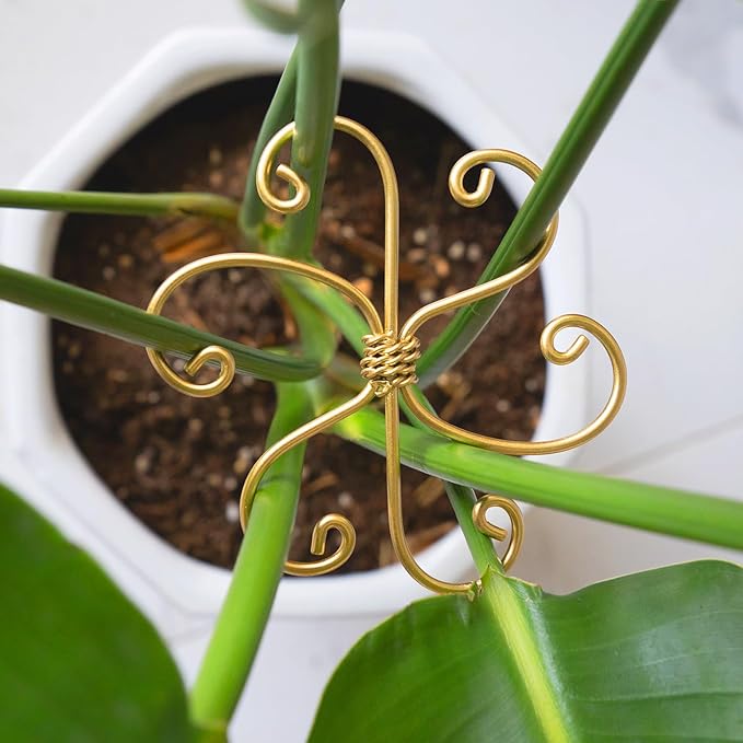5PCS Monstera Plant Support System 4.1IN - Durable Hook Stem Supports for Healthy Growth, Stabilizer for Leaves and Turtle Shells, Easy-to-Use Indoor Plant Care, Ideal Present for Plant Lovers