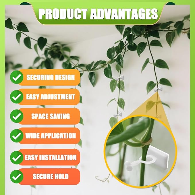 Plant Climbing Wall Fixture Clips, 100Pcs Plant Fixer Self-Adhesive Hooks for Invisible Wall Vines Plant Fixation Plant Vine Traction Garden Vegetable Plant Binding (B-100 Pcs)