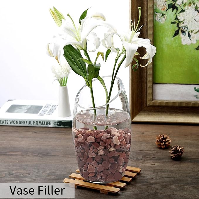 FANTIAN 2 lbs Succulent and Cactus Pebbles Gravel, 3/8 Inch Decorative Red River Rocks for Plants Indoor, Vases, Terrariums, Potted Top Dressing and Outdoor Decorative Stones