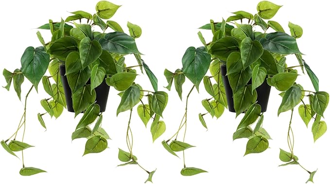 2 Pack Artificial Scindapsus Aureus, Realistic Fake Plants with Plastic Pot for Home Office Bedroom Indoor Outdoor Decor(8in H)
