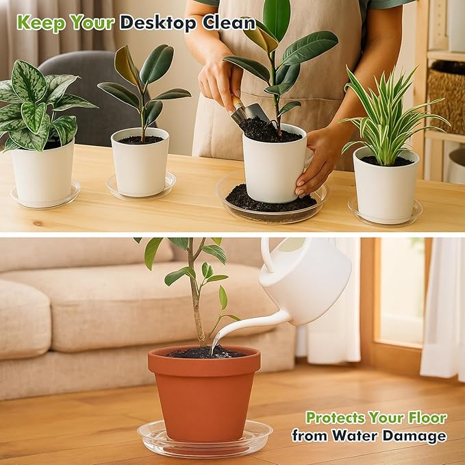 50 Packs 6" Small Clear Plant Saucers for Indoor Outdoor Use Heavy Duty Plastic Plant Trays for Planter Bulk Lower Pot Drip Trays to Catch Water, 4 to 20 Inch, Round Transparent