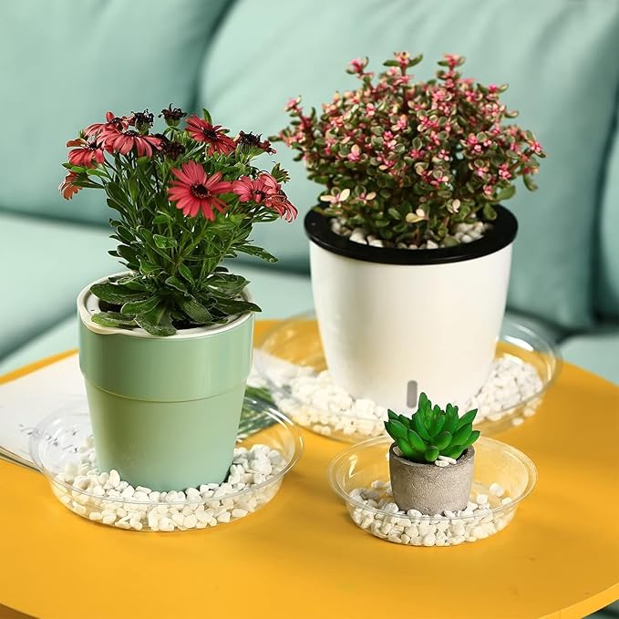 50 Packs 6" Small Clear Plant Saucers for Indoor Outdoor Use Heavy Duty Plastic Plant Trays for Planter Bulk Lower Pot Drip Trays to Catch Water, 4 to 20 Inch, Round Transparent