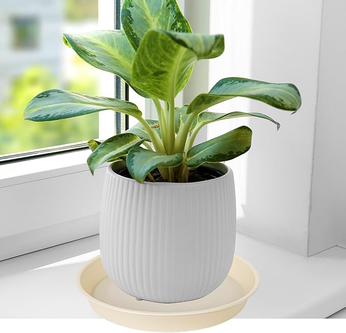 Bleuhome 6 Pack of 6 inch Plant Saucer Drainage Tray, 4 5 7 8 10 12 13 15 17 19 inch Plastic Plant Water Tray, Flower Saucers for Indoors, Plant Dishes for Pots Base (6 inch, Beige)