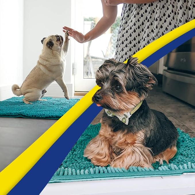 Muddy Mat® | Super Absorbent Door Mat Indoor, Microfiber Quick Dry Chenille Entryway Rug, Non-Slip Front Door Mat, Indoor Mats for Entryway, Machine Washable Pet Rug, Teal 48" x 72"
