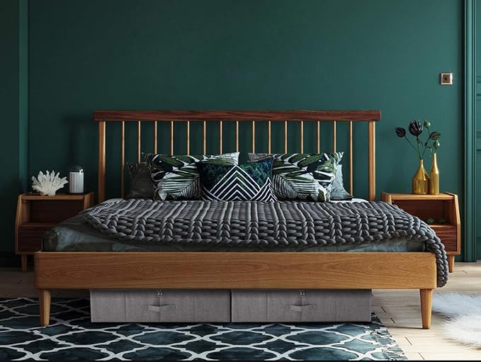 iwill CREATE PRO Under Bed Storage Container, Underbed Shoe Storage Organizer Box with Lid,Dark Gray