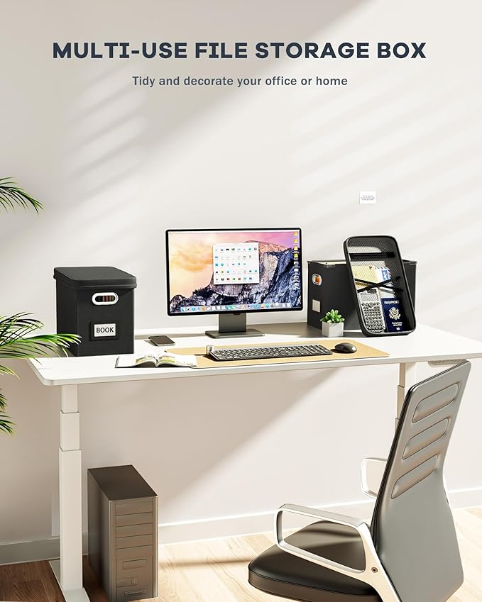 Oterri File Organizer Box with Lid, Hanging Filing File Box with Mesh Pocket, Document Organizer Box for Letter Files, Portable Storage Box with Smooth Sliding Rail for Office&Home (1 PCS, Black)