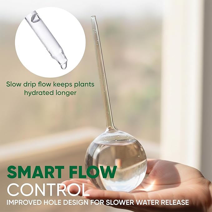 Mission Gallery Clear Plant Watering Globes Set of 6 - Small Self Watering Globes for Indoor & Outdoor Plants - Automatic, Glass Watering Bulbs for Daily Use, Plant Watering Devices