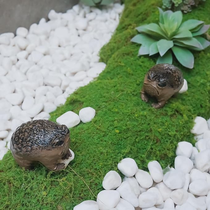 Weird Grumpy Angry Frog Toad Statue – Ugly Cute Resin Sculpture for Garden, Desk or Home Décor, Tiny Novelty Figurine with Gift Box, 1pcs