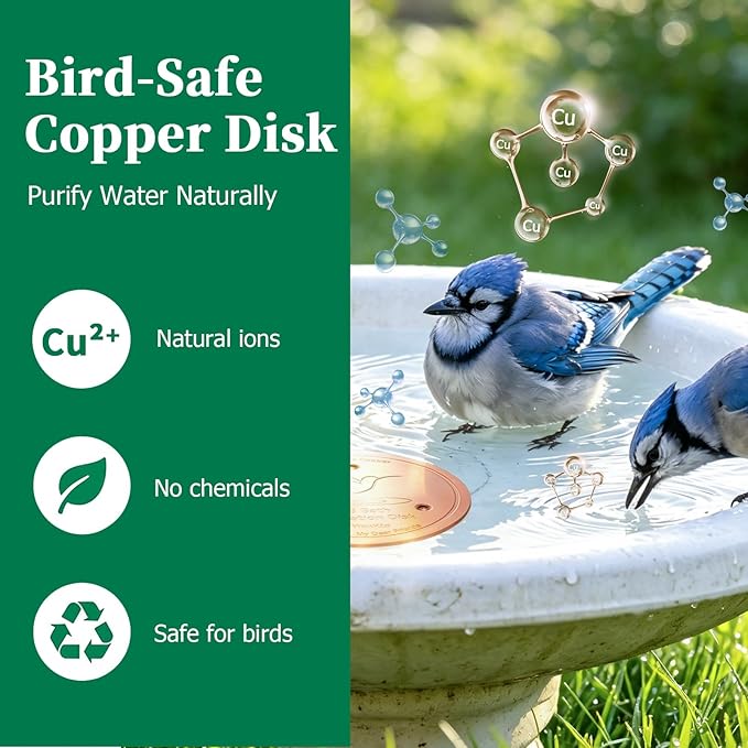 Bird Bath Copper Disk, 0.6mm Reinforced 99.99% Pure Copper Cleaning Disc Plate for Physical Safe Water Purification All-Season for Outdoor Wildlife Bird Bowls Birdbaths Solar