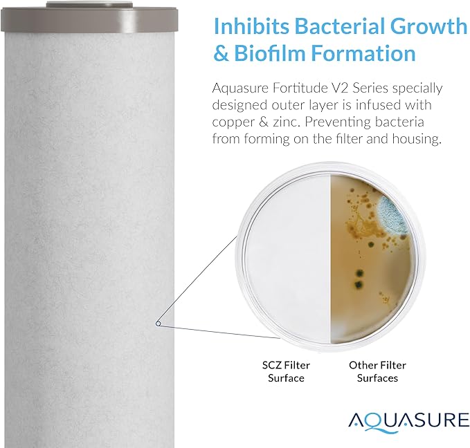 Aquasure Fortitude V2 Series | Sediment/Carbon/Zinc Bacteria Inhibiting Triple Purpose Replacement Filter - Large