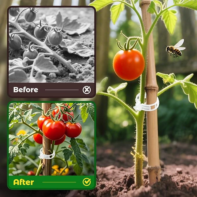 100pcs Secured Plant Clips, Plastic Trellis Garden Support Clips for Climbing, Outdoor Clips for Support Grape Tomato Vine Vegetables Plants, Reusable Clips to Grow Upright Makes Plants Healthier