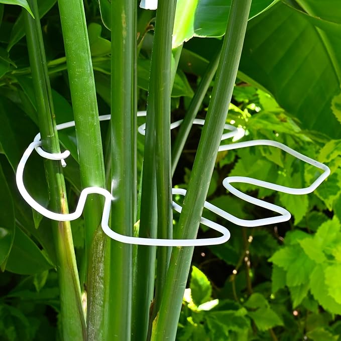 White Monstera Plant Stem Support - 5PCS 7.3x6.25in Durable Adjustable Garden Stake for Indoor Plants, Fishbone Cactus Holder, Innovative Leaf Clip Set, Ideal Tool for Healthy Plant Growth