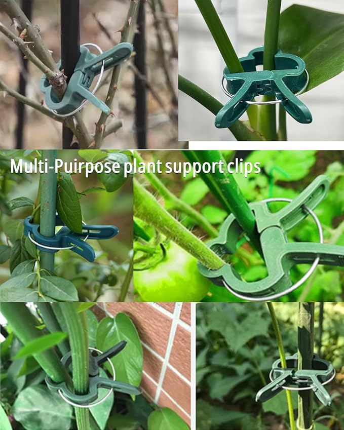 2026 New Plant Clips for Climbing plants Grape and Tomato Vine, Vegetables Plants, Garden Clips to Grow Upright Makes Plants Healthier Vine Clips for Supporting Stems of Flower 10pcs Christmas Gifts