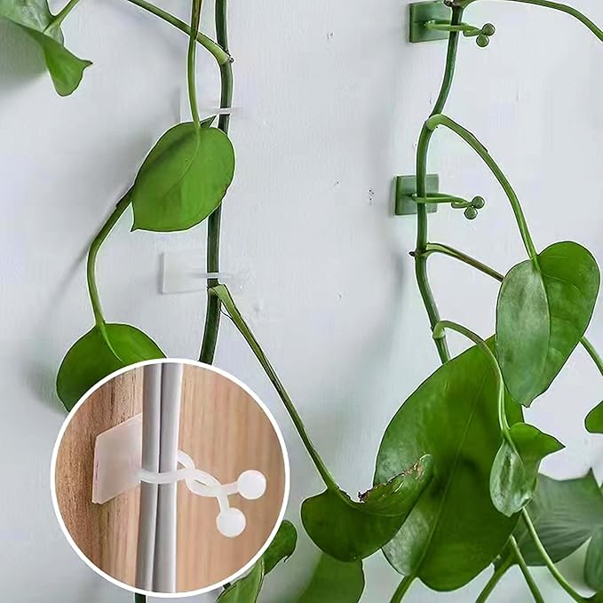 100Pcs Plant Climbing Wall Fixture Clips, Plant Vine Wall Clips Self-Adhesive Plant Hooks for Vines, Invisible Plant Vine Holders for Climbing Plants Vines Indoor Outdoor Cable Wire Fixing