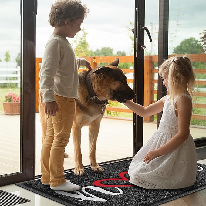 Door Mat, Welcome Mat Low Profile Floor Mat Front Doormat Indoor and Outdoor Doormat Non Slip Rugs for Entryway, Patio, High Traffic Areas (36"x24", Black-Home)
