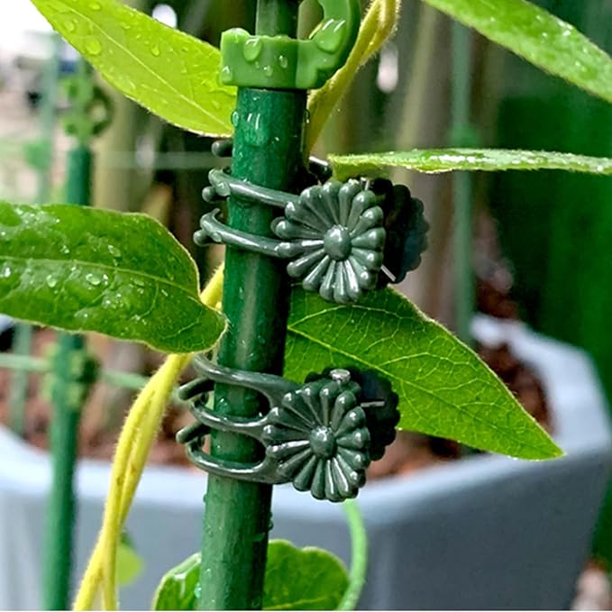 100Pcs Small - Middle Plant Clip,Daisy Garden Flower Plant Clip,for Orchids Vine Clip Support Stem Vine Upright Growth (Green)