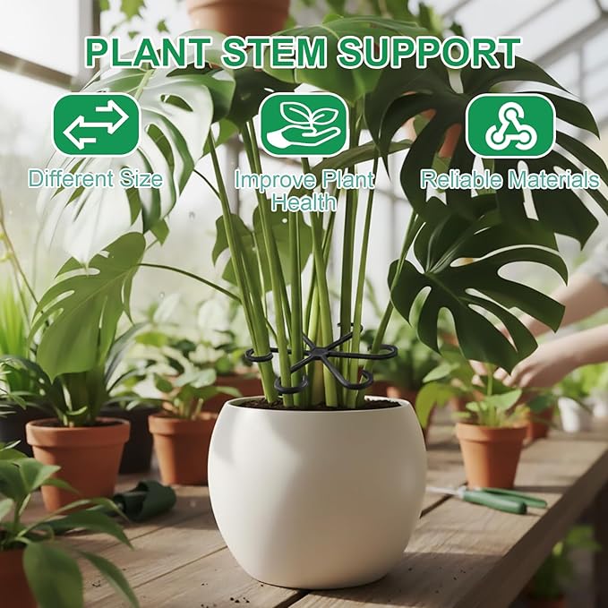 8 PCS Plant Stem Support – Reusable Plastic Plant Stem Holder for Monstera, Indoor Plant Support Clips, Gardening Accessories