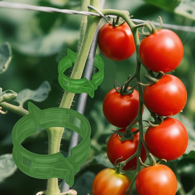 100pcs Secured Plant Clips,Plastic Trellis Garden Support Clips for Climbing, Outdoor Clips for Support Grape Tomato Vine Vegetables Plants,Reusable Clips to Grow Upright Makes Plants Healthier