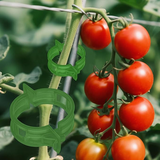 100pcs Secured Plant Clips,Plastic Trellis Garden Support Clips for Climbing, Outdoor Clips for Support Grape Tomato Vine Vegetables Plants,Reusable Clips to Grow Upright Makes Plants Healthier