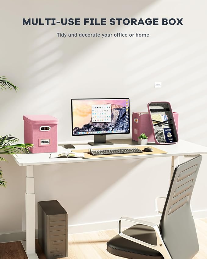 Oterri File Organizer Box with Lid, Hanging Filing File Box with Mesh Pocket, Document Organizer Box for Letter Files, Portable Storage Box with Smooth Sliding Rail for Office&Home (1 PCS, Pink)