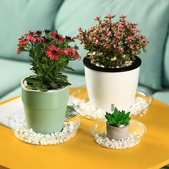 30 Packs 8" Clear Plant Saucers for Indoor Outdoor Use, Heavy Duty Plastic Plant Trays for Planters, Bulk Flower Pot Drip Trays to Catch Water, 4 to 20 Inch, Round Transparent