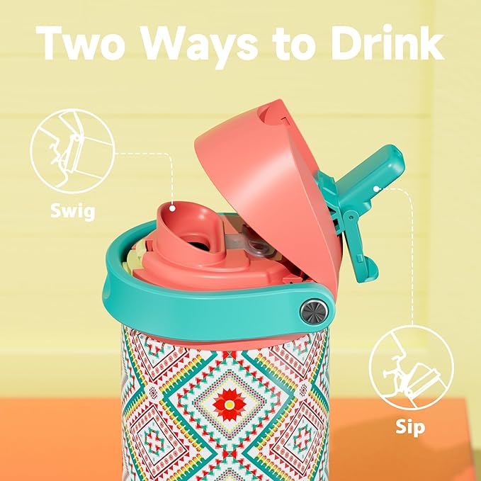 24 oz Insulated Water Bottle with Straw: Meoky Stainless Steel Metal Water Bottle with 2-in-1 Lid - Leak Proof, Cold for 24 Hours, Fits in Car Cup Holder, BPA-Free for Travel Sports Gym, Prism Folk