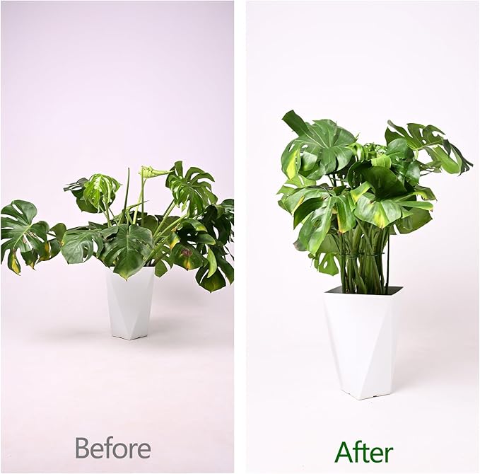 5PCS Monstera Plant Support Hook Green, 5.5IN - Durable Metal Stem Support for Indoor Plants, Adjustable & Easy to Install, Ideal for Monstera, Fishbone Cactus, and Decorative Plant Care