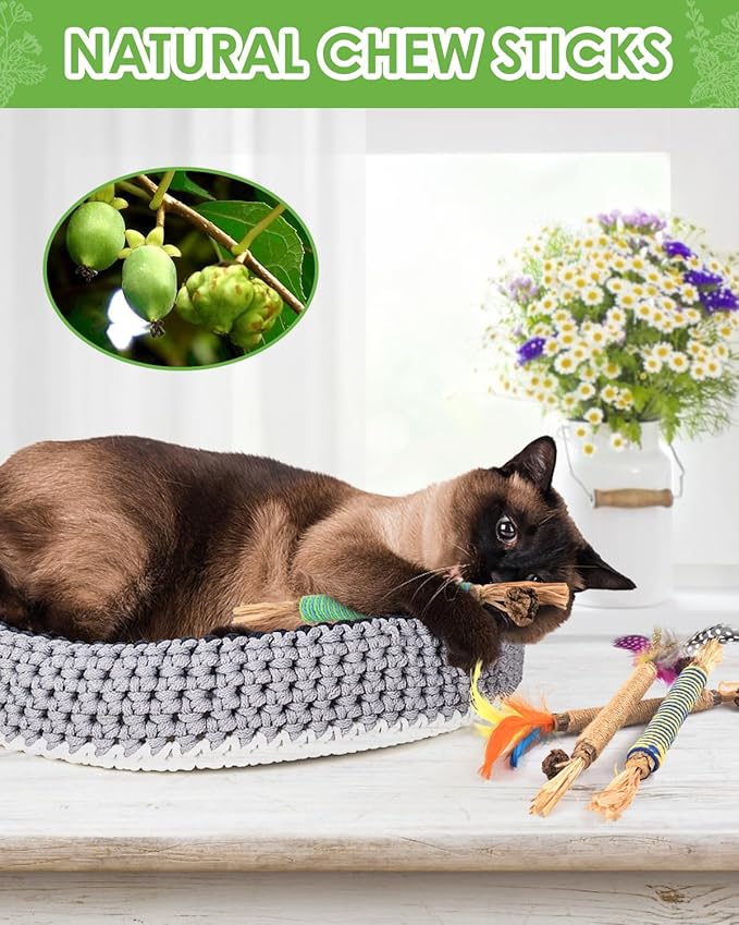 TINDTOP Catnip Chew Toys for Cats, 4 Pack Natural Silvervine Sticks for Kittens Teeth Cleaning, Matatabi Dental Care, Increase Appetite, Aggressive Chewers Cat Dental Toy