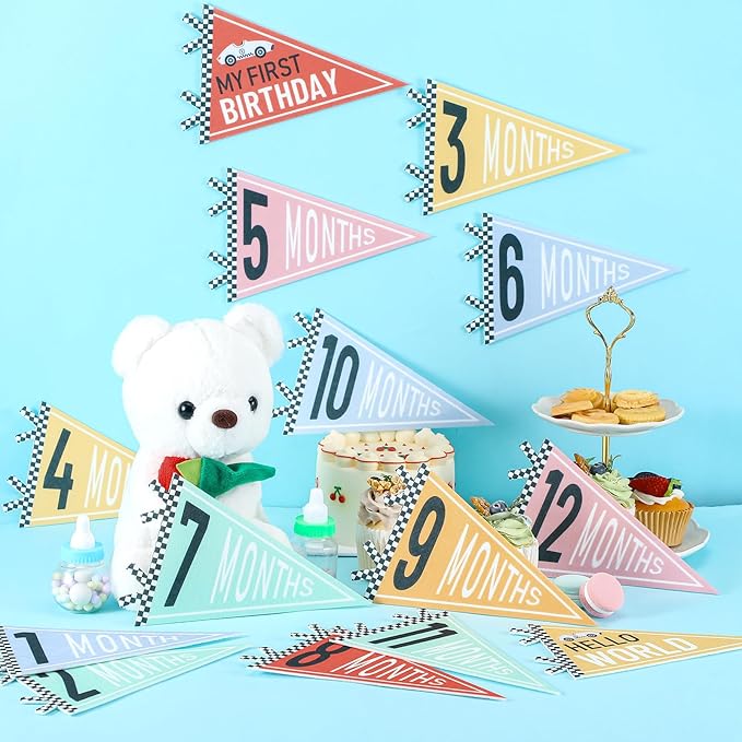 VitalCozy 14 Pcs Baby Milestone Pennant Signs Monthly Milestone Banner Flags Pennant Triangle Banner Age Flag Signs for Boy Girl Newborn Birthday Party Decor (Car)