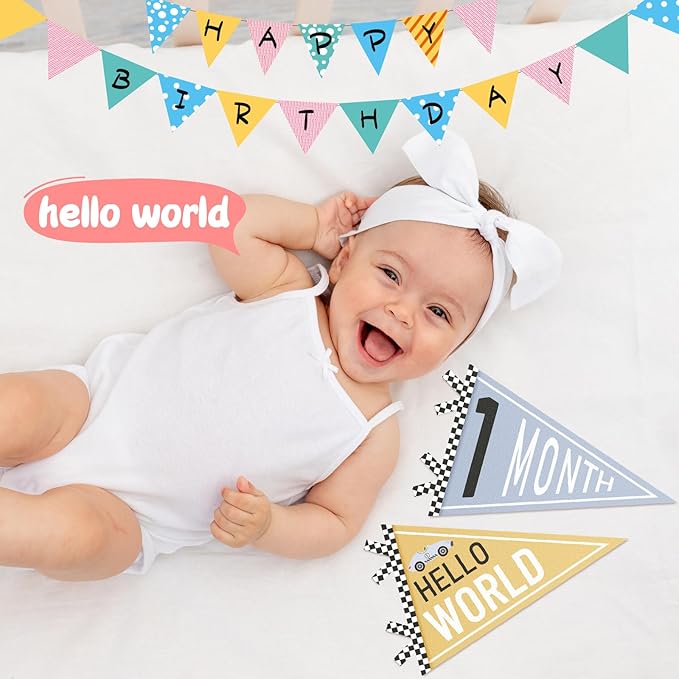 VitalCozy 14 Pcs Baby Milestone Pennant Signs Monthly Milestone Banner Flags Pennant Triangle Banner Age Flag Signs for Boy Girl Newborn Birthday Party Decor (Car)