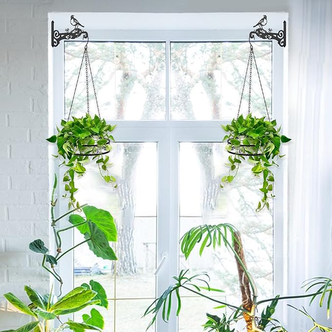 2-Pack Aesthetic Plant Hanger Indoor and Outdoor – 10 Inch Metal Hanging Plant Bracket with Beautiful Bird Pattern – Anti Rust Plant Hooks for Hanging Plants, Bird Feeder, Wind Chime, Lantern