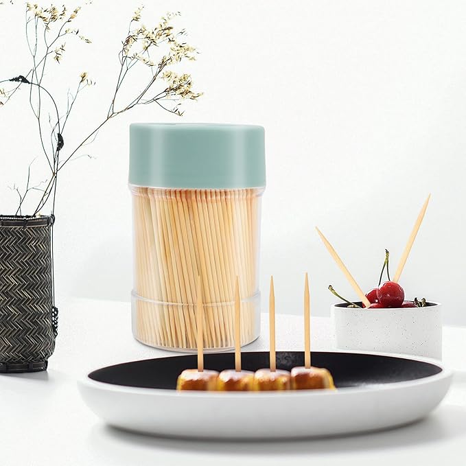 Bamboo Toothpicks [3000 Count] - With Reusable Toothpick Holder, Sturdy Smooth Finish Tooth Picks, for Party, Appetizer, Olive, Barbecue, Fruit and Teeth Cleaning, Green.