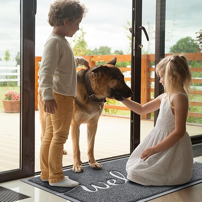 Door Mat, Welcome Mat Low Profile Floor Mat Front Doormat Indoor and Outdoor Doormat Non Slip Rugs for Entryway, Patio, High Traffic Areas (32"x20", Grey-Welcome)