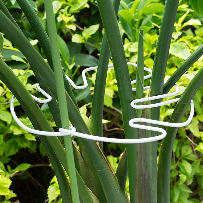 White Monstera Plant Stem Support - 5PCS 7.3x6.25in Durable Adjustable Garden Stake for Indoor Plants, Fishbone Cactus Holder, Innovative Leaf Clip Set, Ideal Tool for Healthy Plant Growth