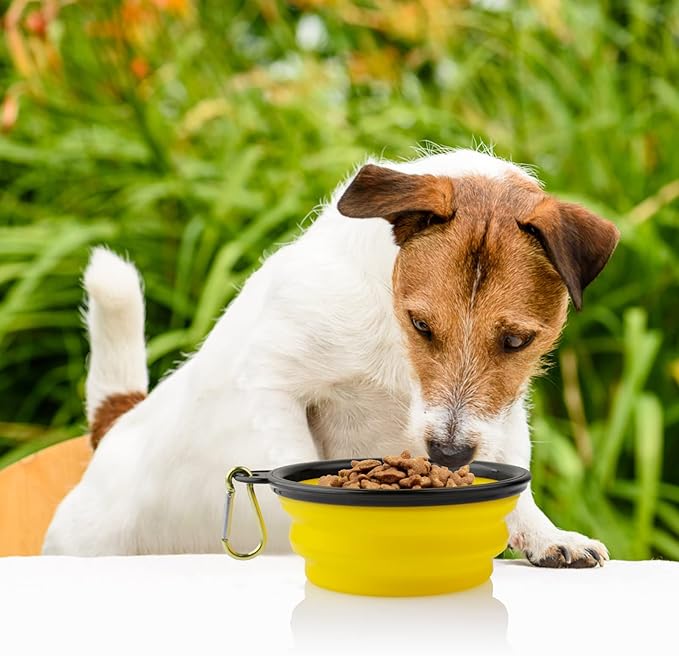 3 Collapsible Silicone Dog Bowl, Foldable Expandable Cup Dish for Small Pet Cat Food Water Feeding Portable Travel Bowl, Free Pet ID-Tag, Yellow Blue Black, S