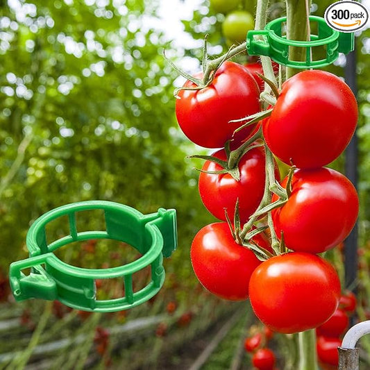 Dalzom® 300Pcs Tomato Clips, Plastic Trellis Clips Plant Support Clips, Plant Clips for Support, Grape Vine, Tomato Vine, Vegetables Plants, Garden Clips to Grow Upright Makes Plants Healthier (Green)