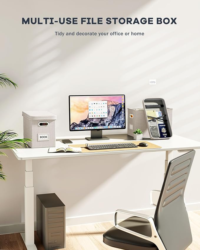 Oterri File Organizer Box with Lid, Hanging Filing File Box with Mesh Pocket, Document Organizer Box for Letter Files, Portable Storage Box with Smooth Sliding Rail for Office&Home (1 PCS, Beige)