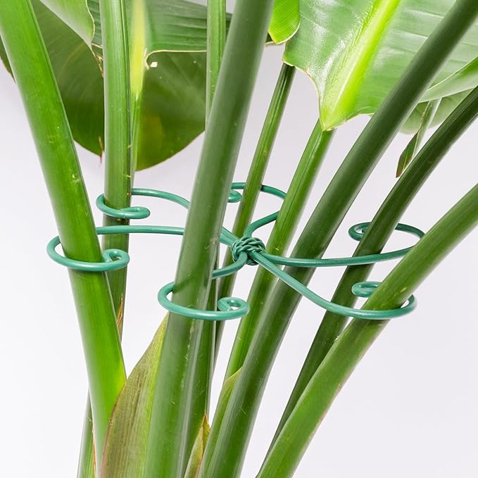 5PCS Monstera Plant Support Hook Green, 5.5IN - Durable Metal Stem Support for Indoor Plants, Adjustable & Easy to Install, Ideal for Monstera, Fishbone Cactus, and Decorative Plant Care