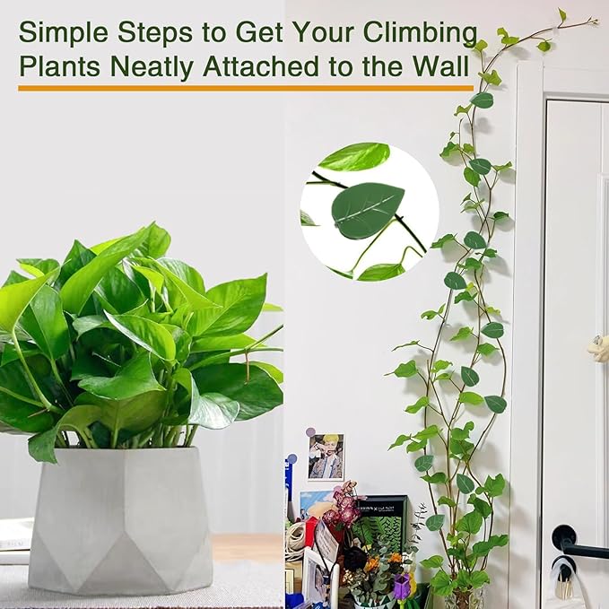 60 pcs Plant Wall Clips with 72 Pieces Acrylic Adhesive Sticker - Plant Climbing Wall Fixture Clips Plant Fixer Invisible Wall Vines Fixing Clips Self-Adhesive Hook Plant Clips