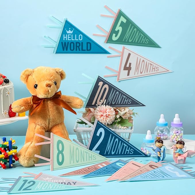 VitalCozy 14 Pcs Baby Milestone Pennant Signs Monthly Milestone Banner Flags Pennant Triangle Banner Age Flag Signs for Boy Girl Newborn Birthday Party Decor(Ocean Color)
