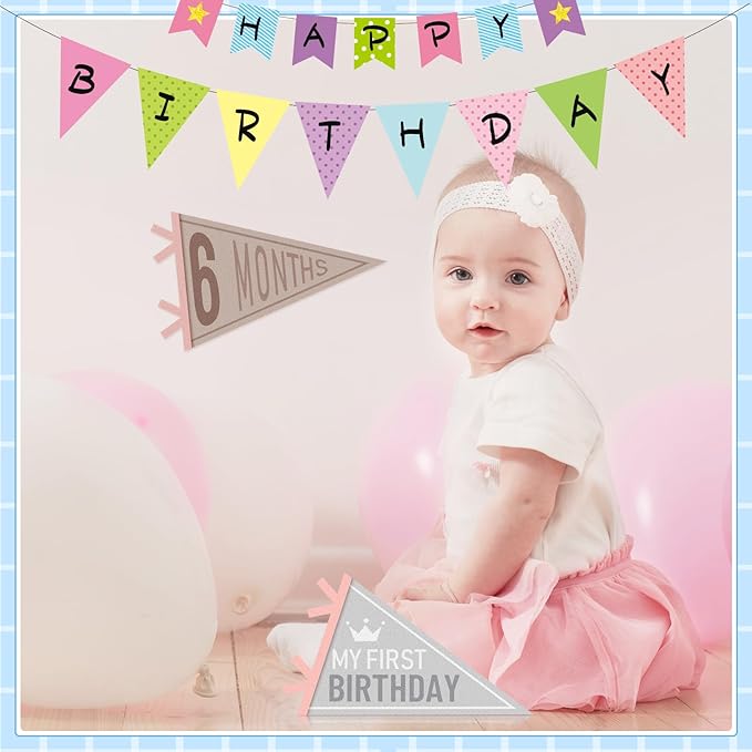 VitalCozy 14 Pcs Baby Milestone Pennant Signs Monthly Milestone Banner Flags Pennant Triangle Banner Age Flag Signs for Boy Girl Newborn Birthday Party Decor(Ocean Color)