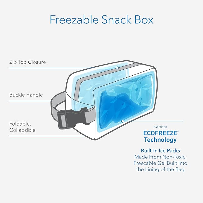 PackIt Freezable Small Insulated Snack Box, Black, with EcoFreeze Technology (Built-in Ice Pack), Mini Cooler or Small Lunch Bag, For Fresh Snacks On the Go, for Work, Gym, or Travel
