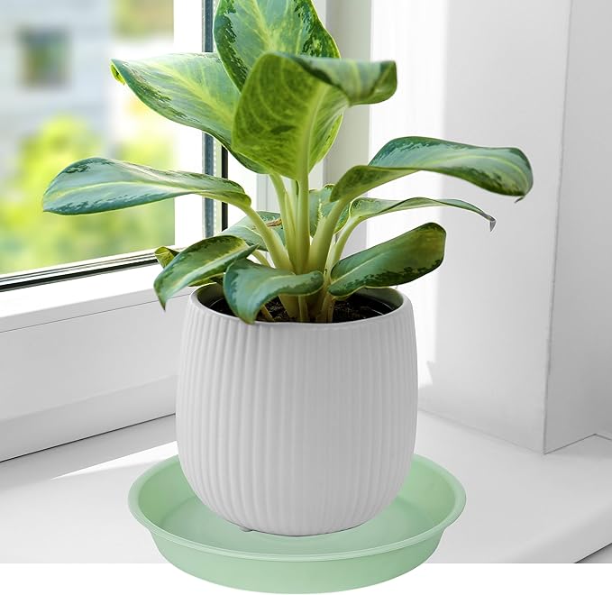 Bleuhome 6 Pack Plastic Plant Saucer Water Drip Tray, 4 5 6 7 8 9 10 11 12 13 15 17 19 inch, Heavy Sturdy Plant Drainage Tray for Indoors Outdoor, Saucers for Pots Base (4", Light Green)