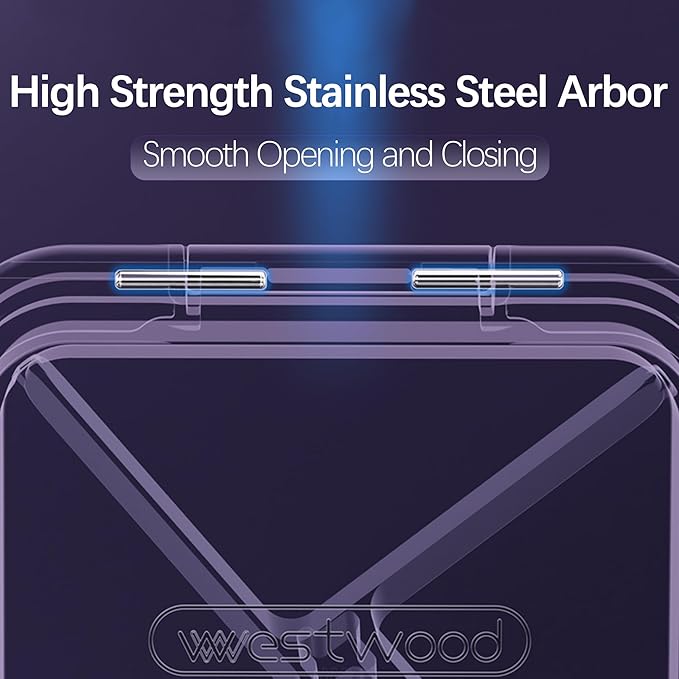 DUBSTAR Pill Case,Small Pill Box - Waterproof Portable Daily Small Pill Case for Purses Pocket Compact Travel Medicine Holder for Vitamins,Fish Oils,Supplements (4-Compartments, Purple)