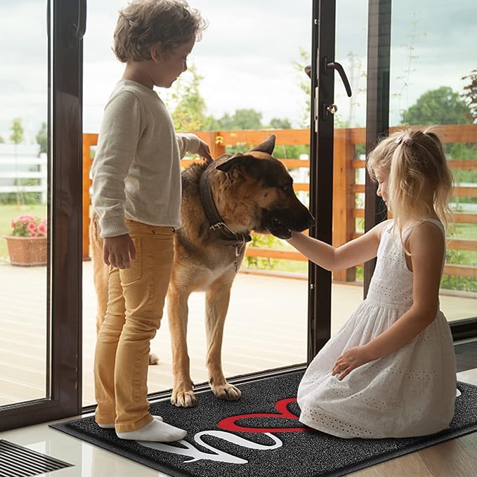 Door Mat, Welcome Mat Low Profile Floor Mat Front Doormat Indoor and Outdoor Doormat Non Slip Rugs for Entryway, Patio, High Traffic Areas (30"x17.5", Black-Home)
