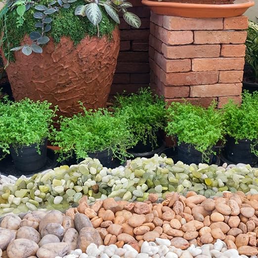 YISZM 10LB Succulent and Cactus Jade Pebbles, 3/8 Inch Natural Decorative Polished Stones, River Rocks for Indoor Plants, Vases, Planters and Outdoor Gardening
